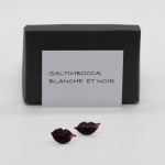 blanche_1980_40